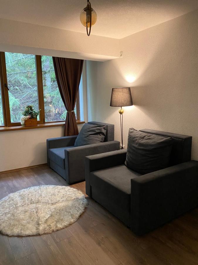 Hotel Neda Galichnik Galicnik Εξωτερικό φωτογραφία
