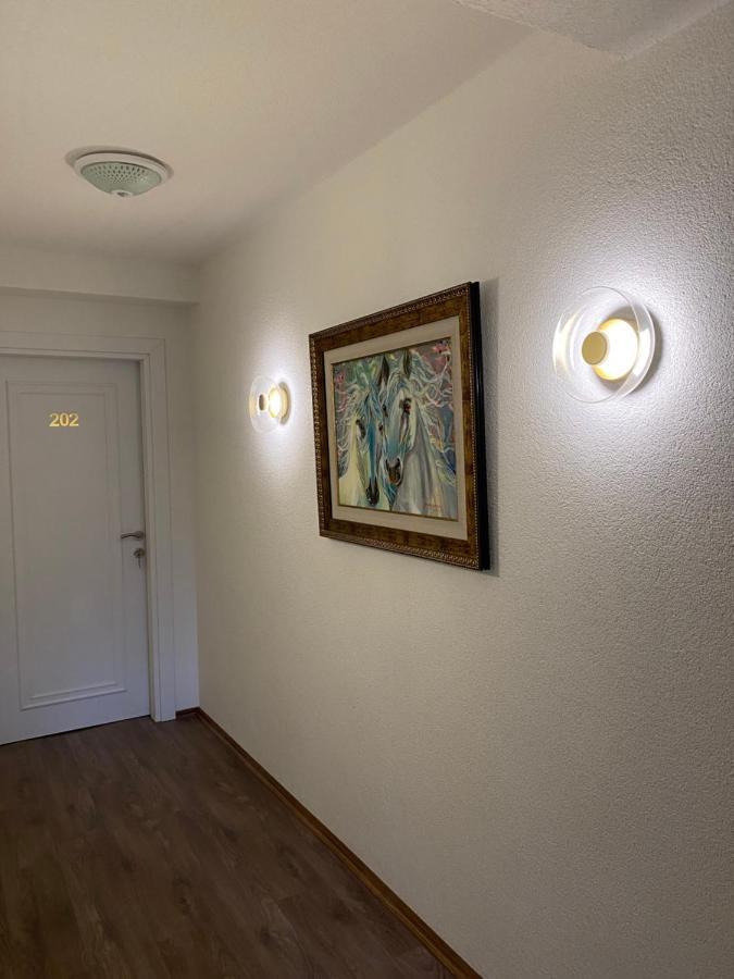 Hotel Neda Galichnik Galicnik Εξωτερικό φωτογραφία